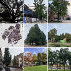 compilatie van 8 foto's met bomen en een kaart